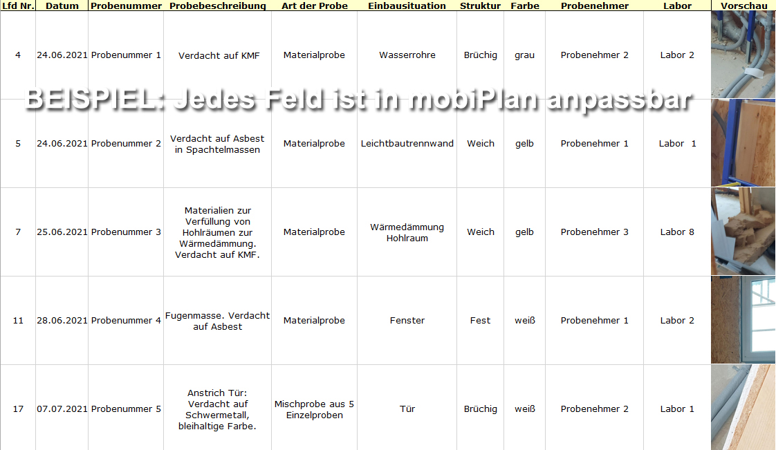 mobiPlan: Berichtstyp Schadstofftabelle Beispiel. Felder können selbst angelegt und definiert werden